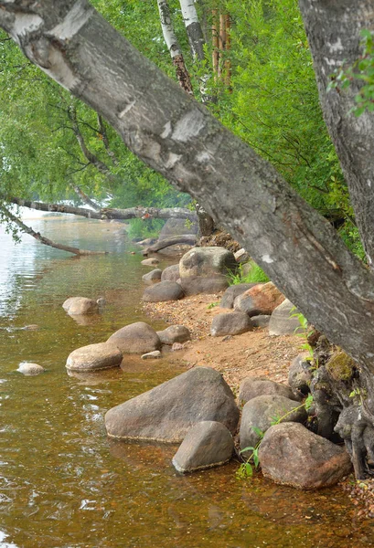 Ufer des Sees. — Stockfoto