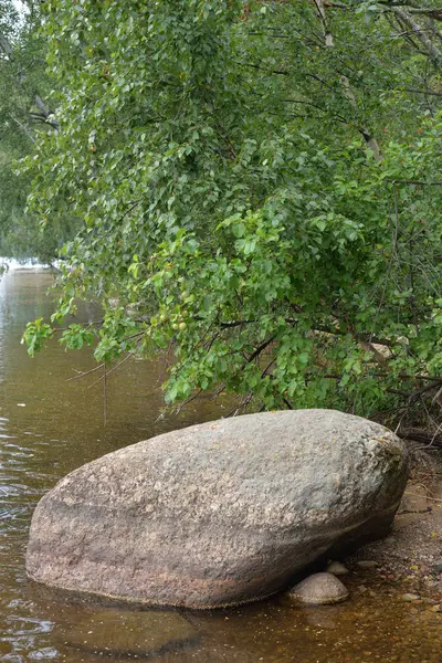 Stor Granit sten på sjö kusten. — Stockfoto