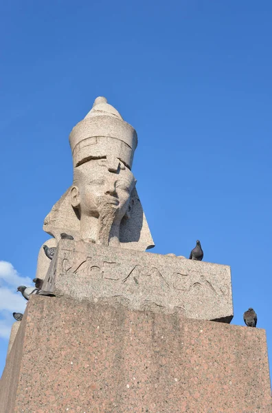 Sphinx à Saint-Pétersbourg . — Photo