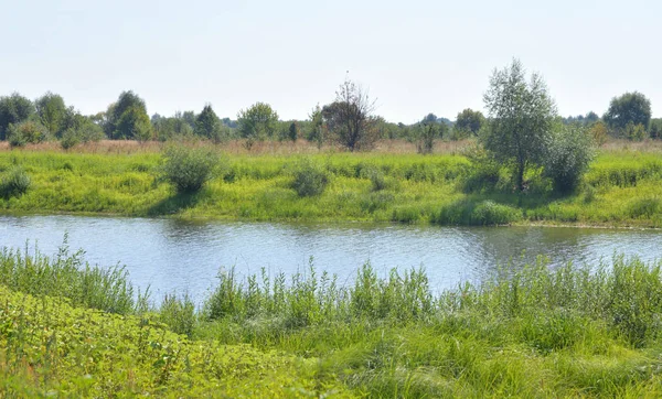 Rivier op zonnige dag. — Stockfoto