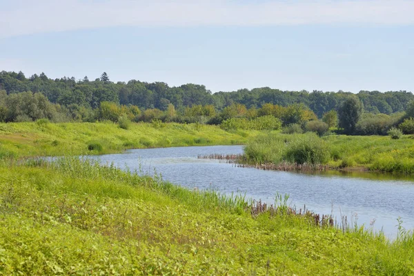 Rivier op zonnige dag. — Stockfoto