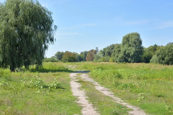 Landelijke weg in het veld. — Stockfoto