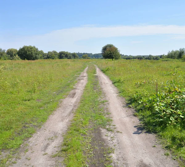 Drumul Rural Câmp Ziua Însorită Vară Polesie Belarusă — Fotografie, imagine de stoc