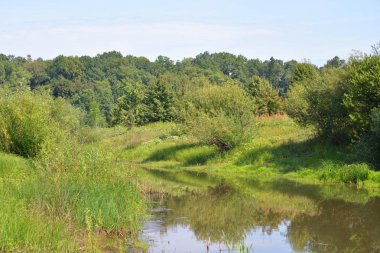Nehir kıyısında güneşli bir gün.