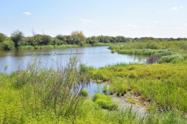Nehir kıyısında güneşli bir gün.