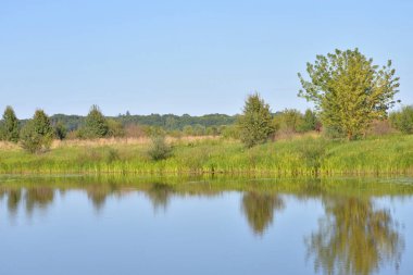 Nehir kıyısında güneşli bir gün.