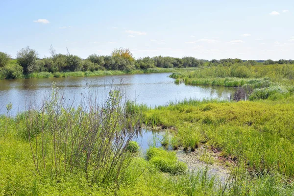 Nehir kıyısında güneşli bir gün.