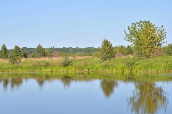 Fiume nella giornata di sole . — Foto Stock