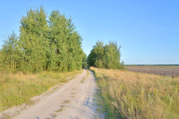 Strada rurale nel campo. — Foto Stock