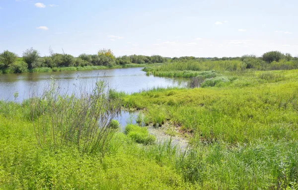 River at sunny day. — Stock Photo, Image