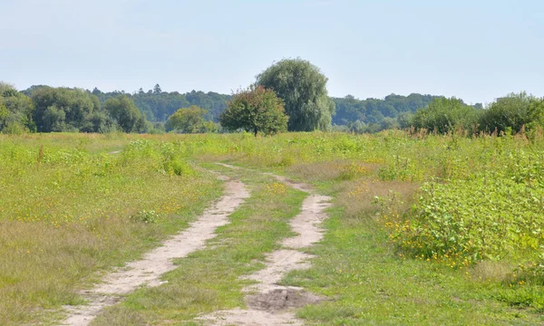 Rural road in the field. — Stock Photo, Image