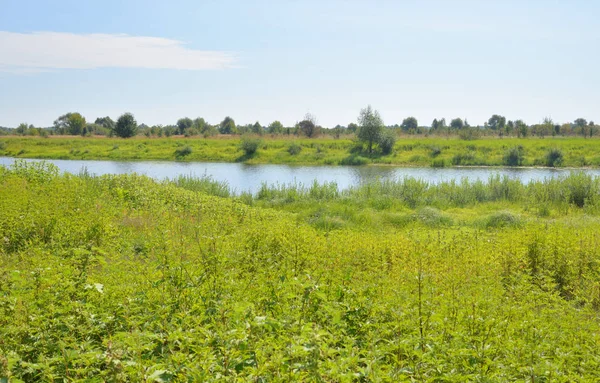 River at sunny day. — Stock Photo, Image