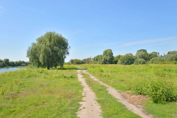 Landelijke weg in het veld. — Stockfoto