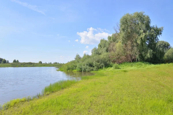 River at sunny day. — Stock Photo, Image