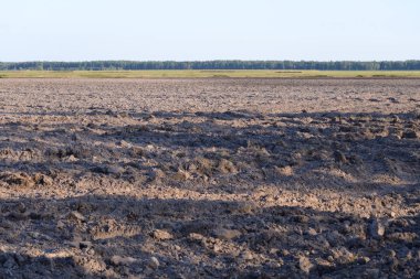 Ağustos ayında sürülmüş alan.