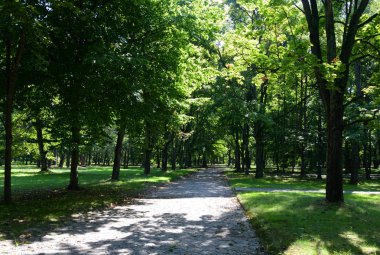 Yaz aylarında parkta Alley.