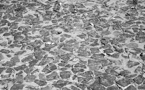 Fragment Old Road Cobblestones Stolin Belarus Black White — Stock Photo, Image