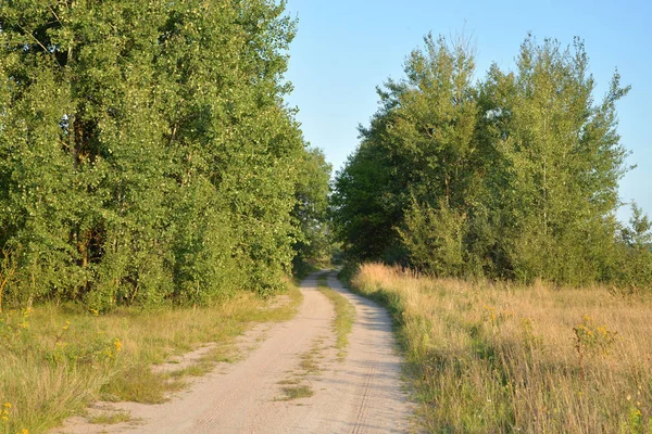 Drumul rural în domeniu . — Fotografie, imagine de stoc
