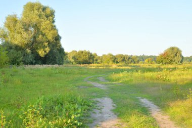 Kırsal yol tarlada.
