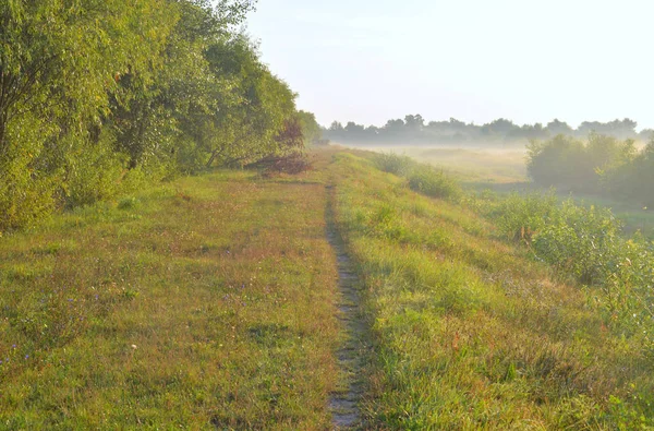 Pathway in the countryside. — Stock Photo, Image