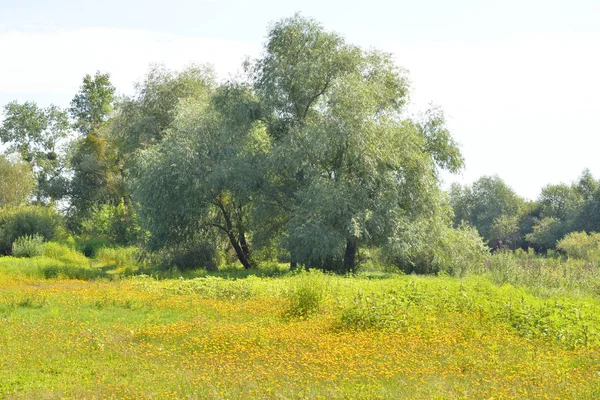 Landelijk landschap in Wit-Russische Polesie. — Stockfoto