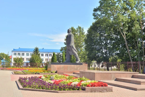 Stolin Wit Rusland Augustus 2019 Standbeeld Van Lenin Stolin Zonnige — Stockfoto