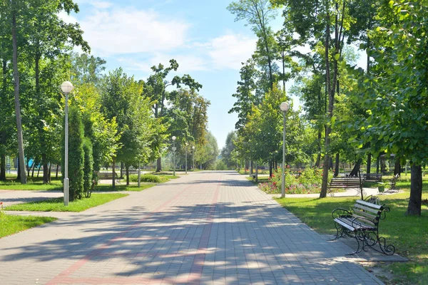 夏の公園の路地. — ストック写真