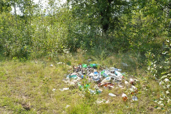 Una pila de basura en el bosque . — Foto de Stock