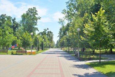 Yaz aylarında parkta Alley.