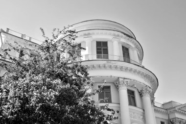 ST.PETERSBURG, RUSSIA - 17 Mayıs 2019: Elagin Sarayı, Saint Petersburg 'daki Elagin Adası' nda bulunan bir yaz İmparatorluk Sarayı. Siyah ve beyaz.