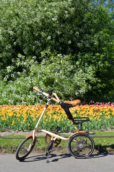 Petersburg Russia May 2019 Bicycle Strida Background Flowerbed Spring Park — Stock Photo, Image