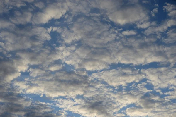 Altocumulus Nubes Atardecer Puede Utilizar Como Fondo — Foto de Stock