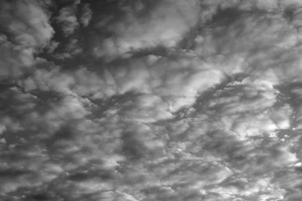 Nubes Altocumulus Blanco Negro — Foto de Stock