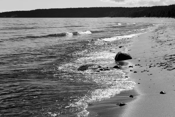 Pobřeží Jezera Ladoga Karelian Isthmus Rusko Černá Bílá — Stock fotografie