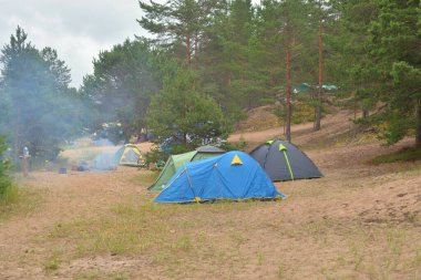 Yaz günü çam ormanlarında kamp çadırları..