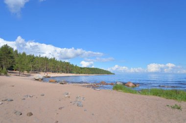 Güneşli bir günde Ladoga Gölü kıyısında, Karelian isthmus, Rusya.
