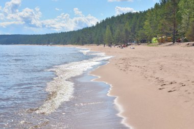 Güneşli bir günde Ladoga Gölü kıyısında, Karelian isthmus, Rusya.