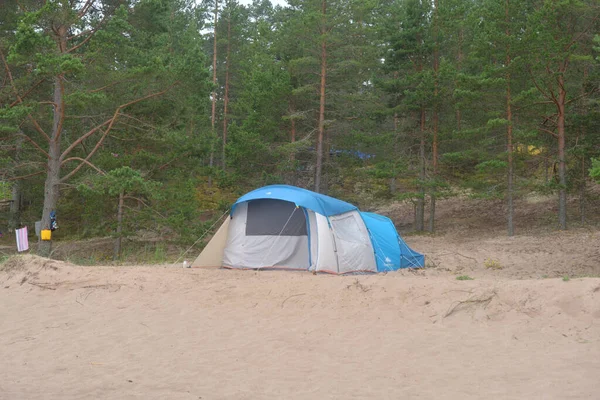 夏の日に松林にテントをキャンプ — ストック写真