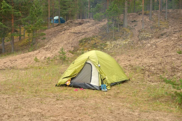 Camping Tält Tallskog Sommardagen — Stockfoto