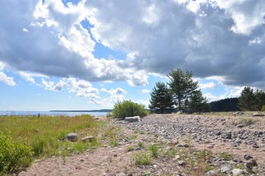 Güneşli bir günde Rocky Beach, Karelian isthmus, Rusya.