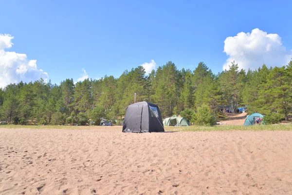 Tente Camping Dans Forêt Pins Jour Été — Photo