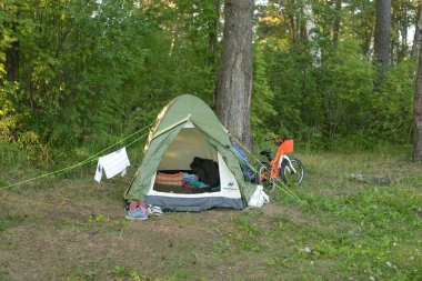 LENINGRAD REJON, RUSSIA - 17 HAZİRAN 2020: Yaz günü ormanda kamp çadırı.