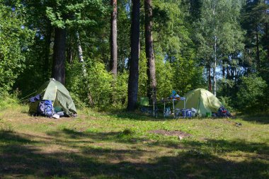 LENINGRAD REGION, RUSSIA - 18 HAZİRAN 2020: Yaz günü ormanda kamp çadırları.