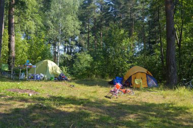LENINGRAD REGION, RUSSIA - 18 HAZİRAN 2020: Yaz günü ormanda kamp çadırları.