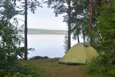 Yaz sabahı ormanda kamp çadırları..