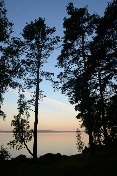 Orilla Del Lago Atardecer Verano Istmo Carelia Rusia — Foto de Stock