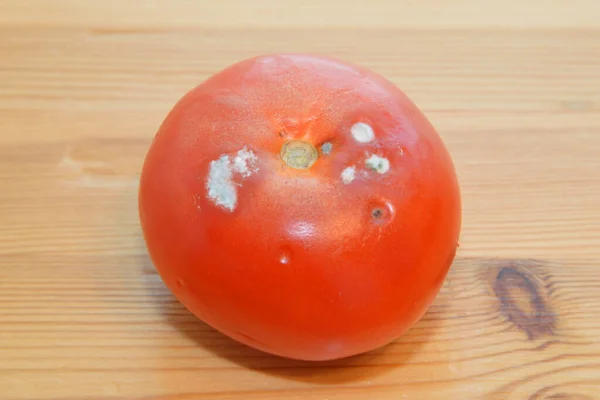 Cały Zgniły Pomidor Drewnianej Powierzchni — Zdjęcie stockowe
