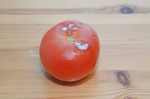 Whole rotten tomato close up on wooden surface.