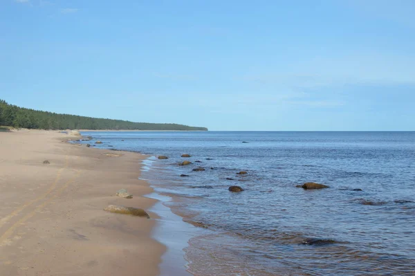 Ladogasjöns Kust Solig Dag Karelska Näset Ryssland — Stockfoto