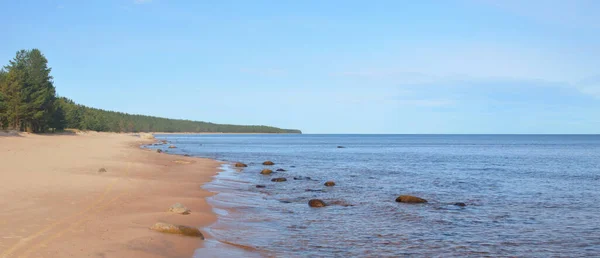 Ladoga Küste Bei Sonnigem Wetter Karelische Landenge Russland — Stockfoto